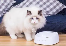 Розумна Антибактеріальне миска з цифровими вагами XiaomiPETKIT Fresh P510 White - мініатюра 7