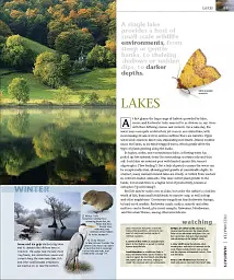 Wildlife of Britain and Ireland - мініатюра 6