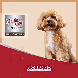 Сухий корм для собак малих порід Morando Migliorcane Unico індичка 7.2 кг (9 шт. х 800 г) - мініатюра 7