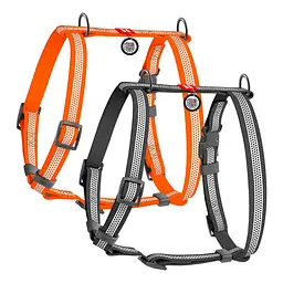 Шлея для собак водостійка анатомічна Н-подібна Waudog Waterproof з QR-паспортом світловідбивна пластикова пряжка-фастекс S Ш - мініатюра 2