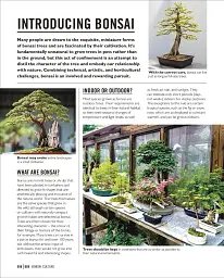 Grow Bonsai - мініатюра 5