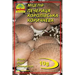 Печериця королівська коричнева 10 г