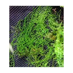 Тропічна бавовна Repti-Zoo Plant Cotton M 29х29см (YZM003) для моху і рослин у тераріум - мініатюра 9