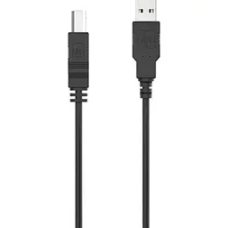 Кабель для принтера HP USB 2.0 AM/BM 2.0m (HP_DHC-PT100-2M) - мініатюра 2