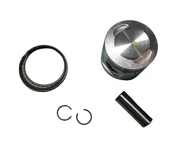 Delta 70 Поршень (у зборі) std (⌀47.00mm)EVO P-9646