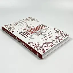 Видовище - Стефані Ґарбер | КМ-БУКС, книга українською, нова, тверда - мініатюра 3