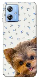 TPU чохол Demsky Cute Yorkie для Motorola Moto G84