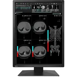 Монітор 21.3" Eizo RadiForce RX270 - Class B "Б/В"