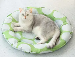 Килимок для собак, що охолоджує, GEL Pet Cooling Mat Round Green 60х60 см