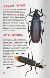Велика книжка. Жуки - Олег Зав'язкин - мініатюра 3