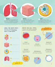Active Learning. Human Body - мініатюра 4