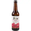 Напиток Jiva Комбуча Люблю гранат с соком граната 330 мл (944109)