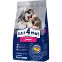 Сухий корм для цуценят Club 4 Paws Premium з куркою 2 кг (B4540111)
