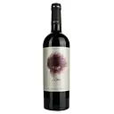 Вино Ego Bodegas Goru DOP Jumilla, червоне, сухе, 0,75 л