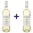 Вино Plaimont Colombelle Sauvignon біле напівсухе 0.75 л х 2 шт.