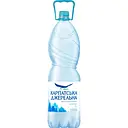 Вода мінеральна Карпатська Джерельна негазована 2 л (369071)