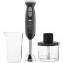 Блендер погружной RAF-327 4в1 (42945-RAF-327_575)