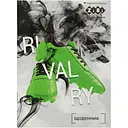 Дневник школьный ZiBi Smart Line Sport А5 40 листов (ZB.13104)