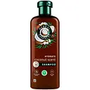 Шампунь Herbal Essences Увлажнение Аромат кокоса 350 мл