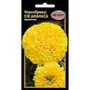 Насіння НК Еліт Чорнобривці Сік Ананаса 0.3 г (75830)