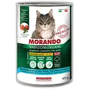 Вологий корм для котів Morando Tradizioni шматочки у соусі з тунцем, томатами та стручковою квасолею 405 г