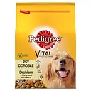 Сухой корм для взрослых собак Pedigree, птица и овощи, 2,6 кг