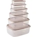 Набор контейнеров Violet House Cappuccino 6 шт. (0496 capuccino)