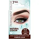 Крем-краска для бровей и ресниц Asteri Eyebrow Color темно-каштановая 2 х 2.5 г