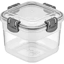 Контейнер для зберігання продуктів Freshlife вакуумний квадратний 0.6 л (D-441)