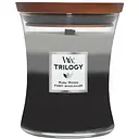 Свеча Woodwick Trilogy Warm Woods Medium Теплый лес 275 г (92911E)