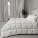 Одеяло пуховое MirSon Raffaello White 063 140х205 см (2200000075123)