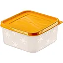 Контейнер для зберігання продуктів в морозильній камері Freshlife з кришкою 0.45 л (D-307)