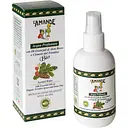 Парфюмерная вода L'Amande Trentino Scented Water