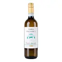 Вино Terra Italianica Pinot Grigio Delle Venezie DOC біле сухе 0.75 л