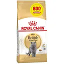 Сухий корм для британських короткошерстих дорослих котів Royal Canin British Shorthair Adult з м'ясом птиці 3.2 кг + 800 г