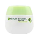 Ботаник-крем для лица Garnier Skin Naturals Основной Уход, для нормальной и комбинированной кожи, 50 мл (C5803900)