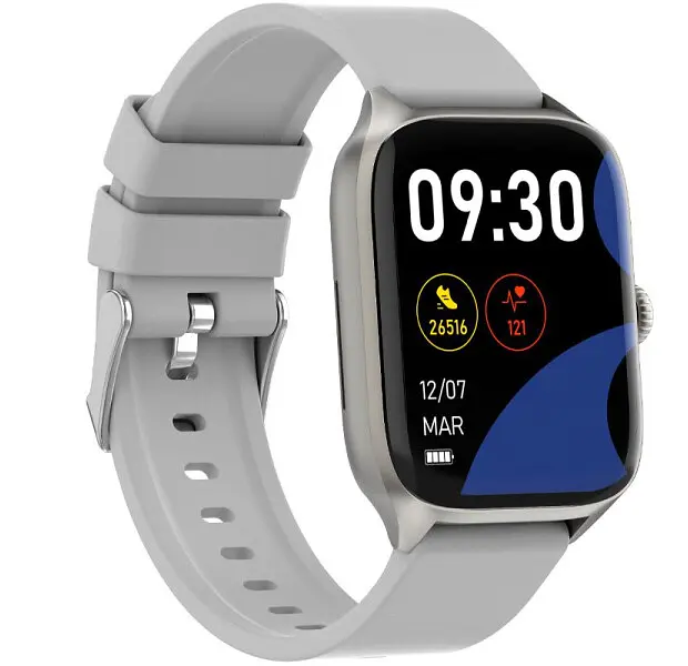 Смарт-годинник Gelius Pro GP-SW012 (Amazwatch GTS) Silver - фото 3