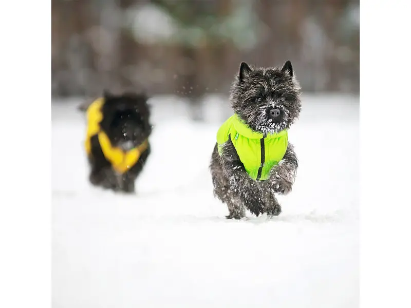 Курточка для животных Airy Vest двусторонняя M 50 желто-салатовая (1628) - фото 4