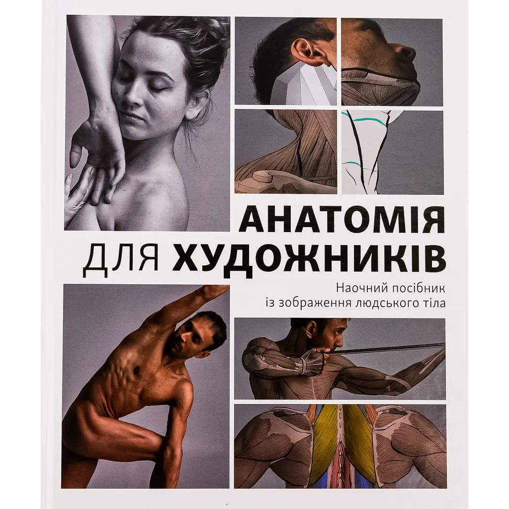 Анатомія для художників. Наочний посібник із зображення людського тіла - Джахірул Амін
