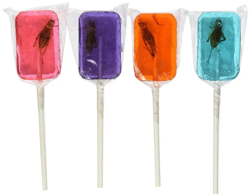 Льодяник із комахою Hotlix Assorted Cricket Sucker 1шт, 28г - фото 2