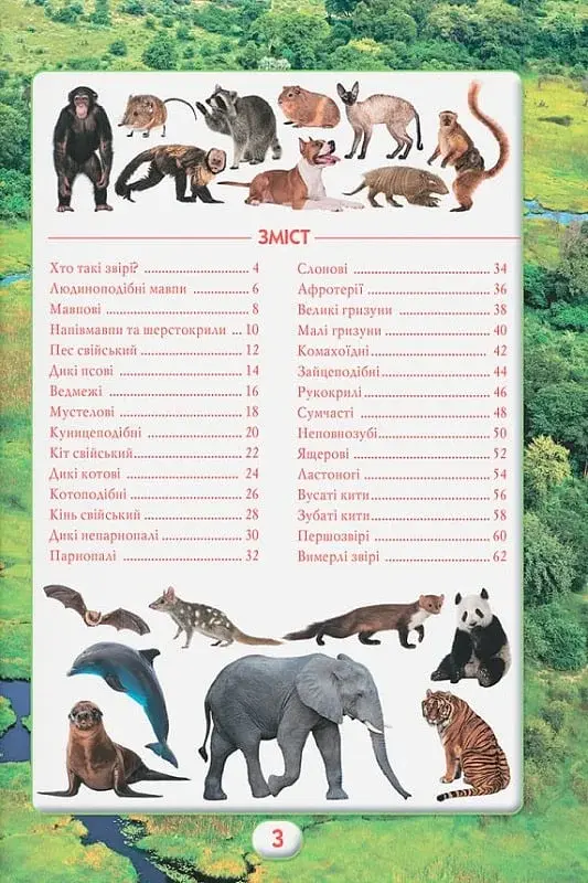Ви маєте це знати. Світ звірів - фото 5