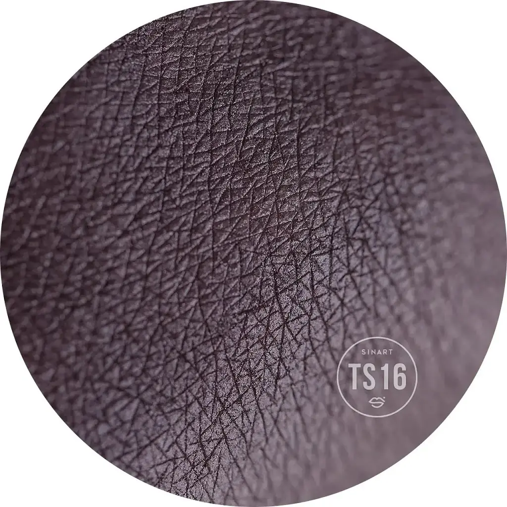 Пресовані тіні для повік Sinart Extra Dimension Velor Eyeshadow TS16 1.5 г - фото 2