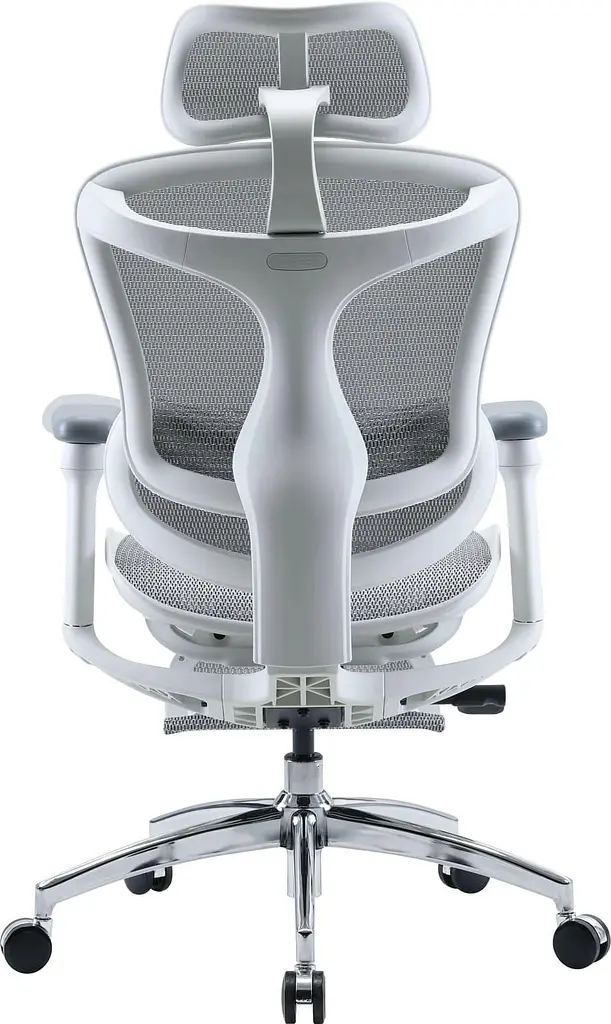 Офісне крісло Sihoo DORO C300L Mesh White with footrest (DORO-C300L-A3-102-JT) - фото 2
