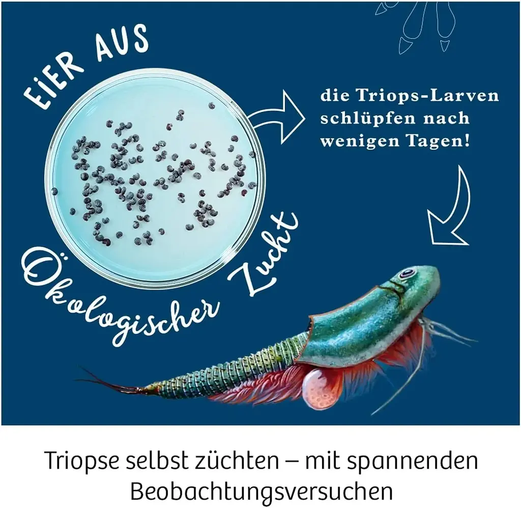 Світ щитнів Triops World Kosmos - Набір для дослідження (616748) - фото 2