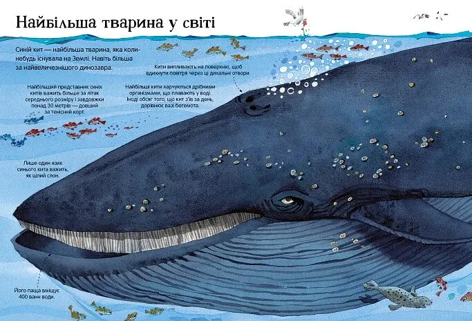 Велика книга тварин - фото 5