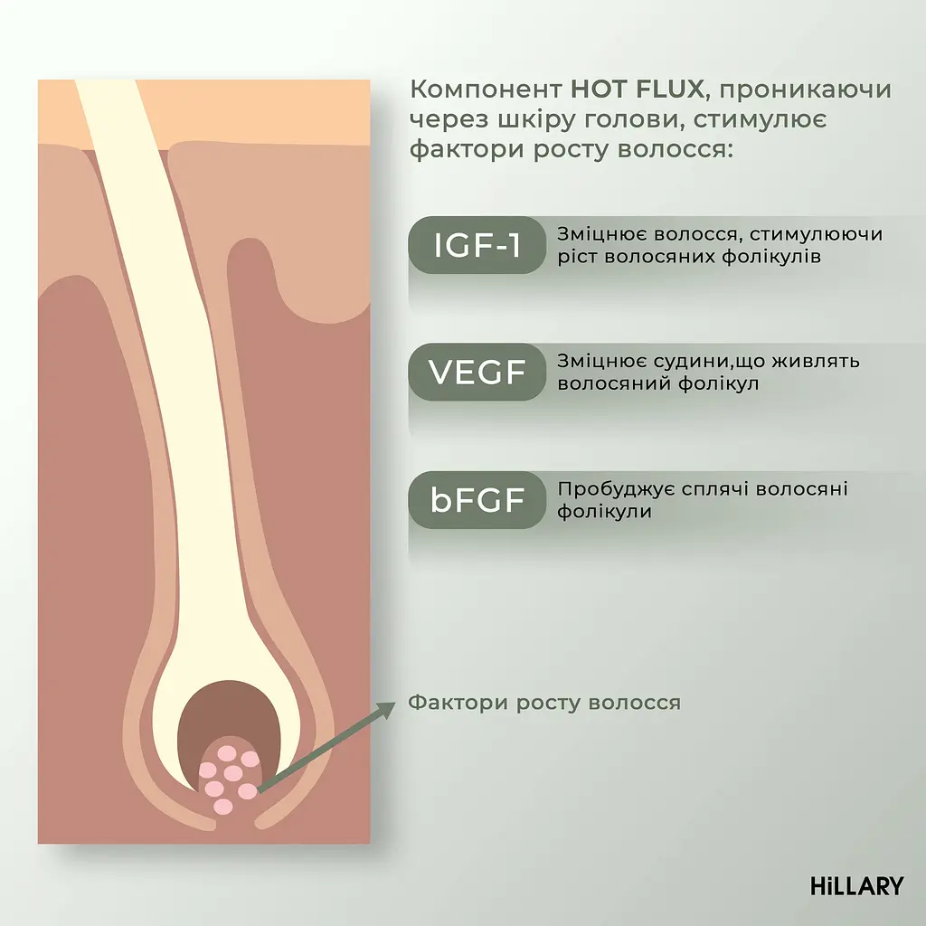 Энзимный пилинг для кожи головы + Набор для жирного типа волос Green Tea Phyto-essential Hillary - фото 10
