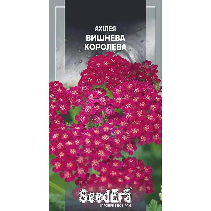 Ахілея Вишнева Королева, 0.1 г, Seedera