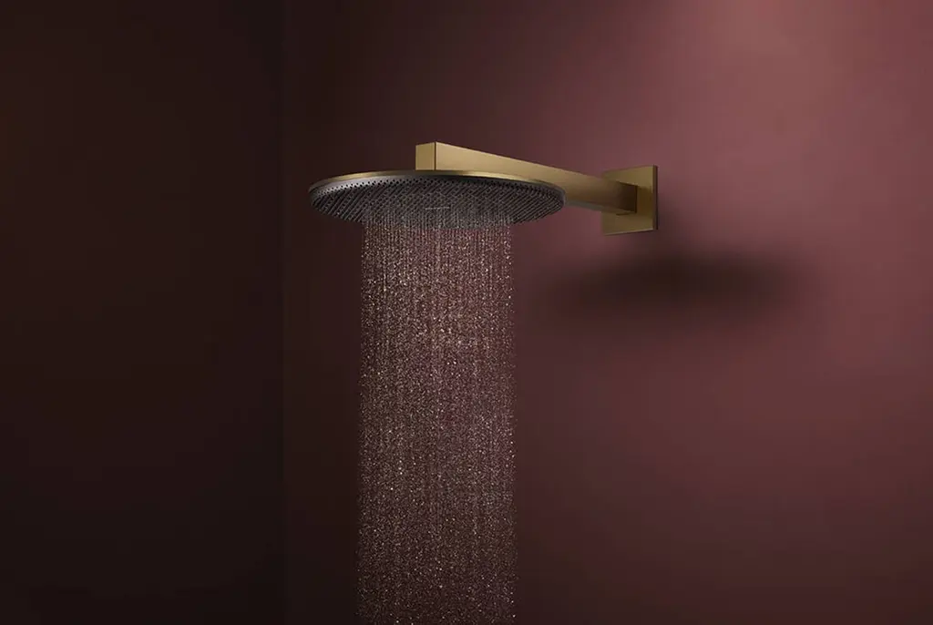 Верхній душ Hansgrohe Raindance Alive S 300 2jet EcoSmart з тримачем brushed bronze 24541140 - фото 3