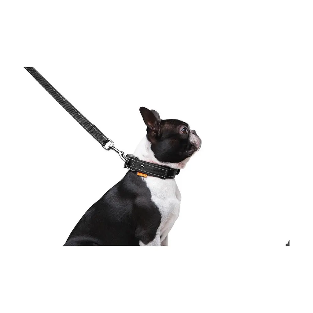 Повідець для собак Dog Extreme з нейлону подвійний Ш 20 мм Д 122 см чорний (42981) - фото 7