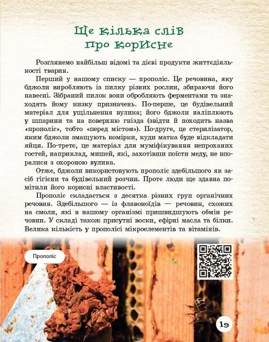 Тварини навколо нас - Світлана Огієнко - фото 6